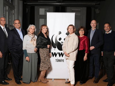 wwf